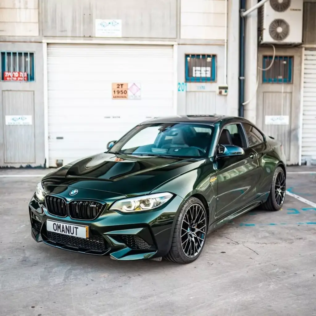 GSWF_whicked_jungle_colored_Paint_protection_film.webp