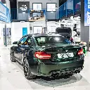 gswf_wicked_jungle_colored_paint_protection_film.webp